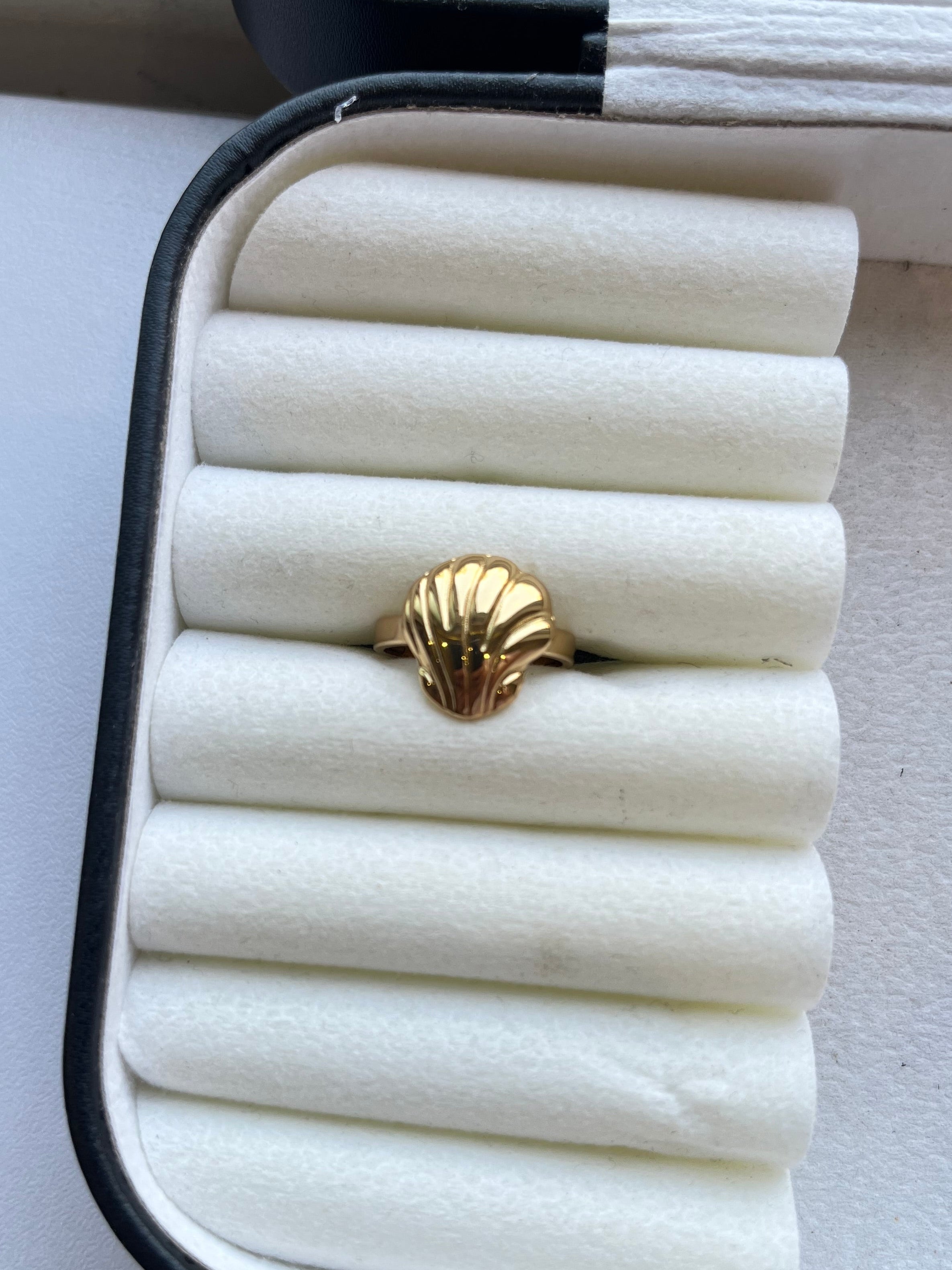 Shell Ring