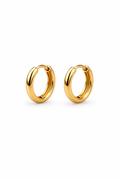 Sleek Gold Hoops