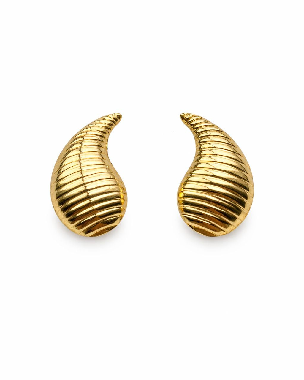 Shell Drop Earrings